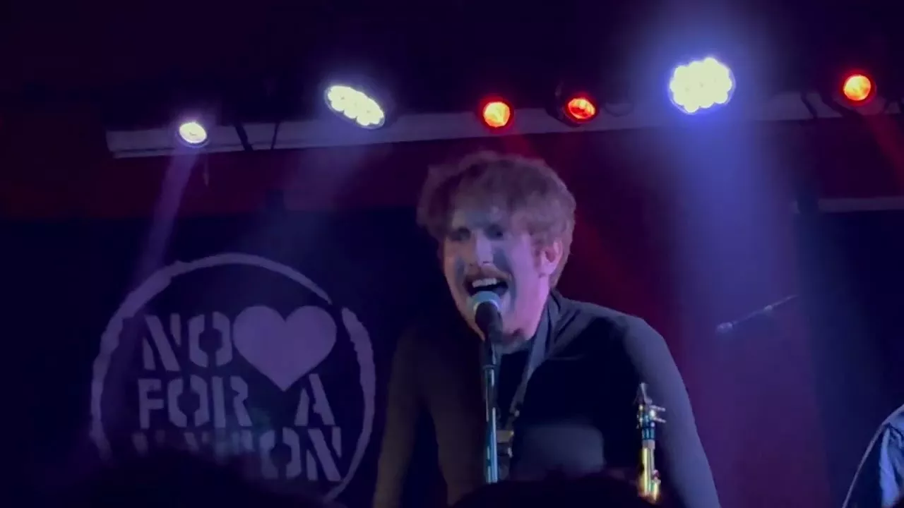 Borgzinner – Hey Allison (LIVE), 2024-05-24, Schokoladen, Berlin